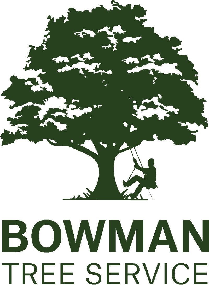 Corporate Logo